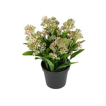 Künstliche Blume Skimmie SETTENA im Dekotopf, hellrosa, 16cm