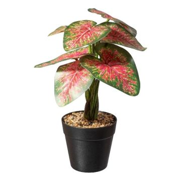 Künstliche Pflanze Caladium WEHNDAS, Dekotopf, grün-rot, 30cm