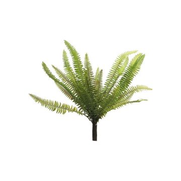 Deko Boston Farn HONGXIA auf Steckstab, grün, 40cm Deko Boston Farn HONGXIA auf Steckstab, grün, 40cm