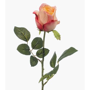Künstliche Rose DIXLEN, pfirsich-rosa, 70cm, Ø7cm Künstliche Rose DIXLEN, pfirsich-rosa, 70cm, Ø7cm
