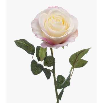 Rose künstlich BRUNETTE, weiß-rosa, 70cm, Ø11cm Rose künstlich BRUNETTE, weiß-rosa, 70cm, Ø11cm