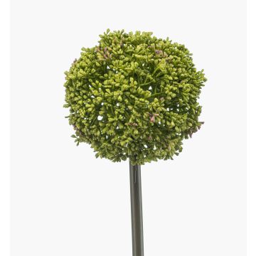 Allium künstlich TUXLON, grün, 75cm Allium künstlich TUXLON, grün, 75cm