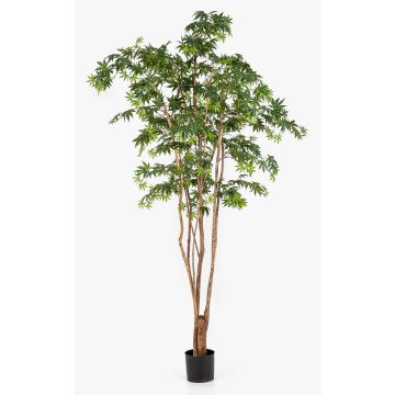 Kunstpflanze Japanischer Ahornbaum ILIANU, Echtstämme, grün, 240cm