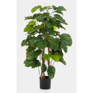 Kunstbaum Kastanienwein NOWALEE, Naturstamm, grün, 120cm