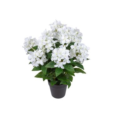 Kunstblume Hortensie SIENDERA im Dekotopf, weiß, 50cm