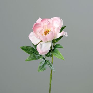Künstliche Blume Pfingstrose GILUMINA, weiß-rosa, 55cm