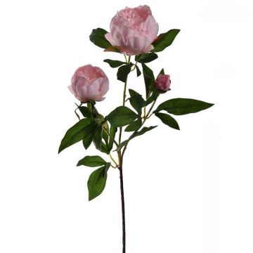 Deko Zweig Pfingstrose FIERATY, rosa, 70cm Deko Zweig Pfingstrose FIERATY, rosa, 70cm