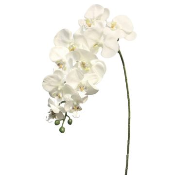 Künstlicher Zweig Phalaenopsis Orchidee JUANRU, weiß, 100cm