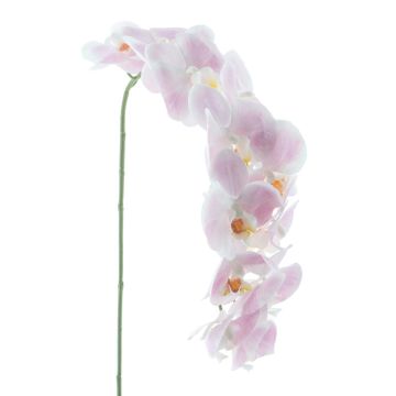 Künstliche Blume Phalaenopsis Orchidee KORAYA, hellrosa-weiß, 110cm Künstliche Blume Phalaenopsis Orchidee KORAYA, hellrosa-weiß, 110cm