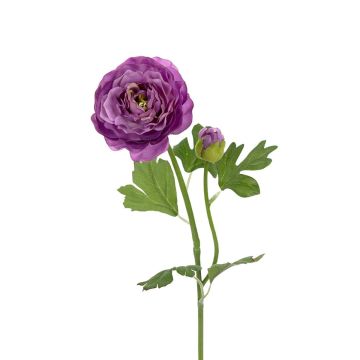 Dekozweig Ranunkel SIKAMIA, violett, 55cm Dekozweig Ranunkel SIKAMIA, violett, 55cm
