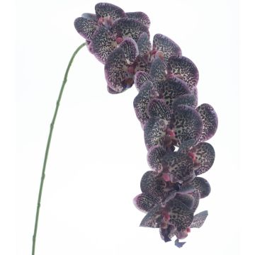 Künstliche Blume Phalaenopsis Orchidee KORAYA, violett-weiß, 110cm Künstliche Blume Phalaenopsis Orchidee KORAYA, violett-weiß, 110cm