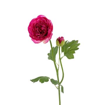 Dekozweig Ranunkel SIKAMIA, pink, 55cm Dekozweig Ranunkel SIKAMIA, pink, 55cm