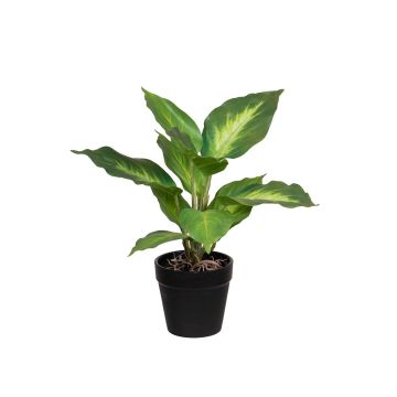 Fake Pflanze Dieffenbachia SILNANA, Wurzeln, Dekotopf, grün-creme, 24cm Fake Pflanze Dieffenbachia SILNANA, Wurzeln, Dekotopf, grün-creme, 24cm