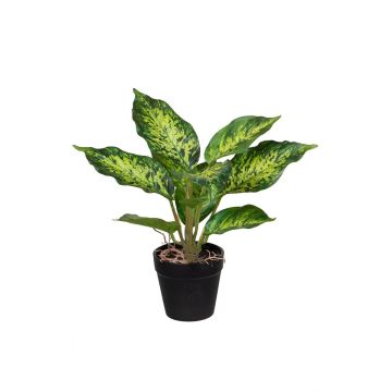 Fake Pflanze Dieffenbachia SILNANA, Wurzeln, Dekotopf, grün, 24cm Fake Pflanze Dieffenbachia SILNANA, Wurzeln, Dekotopf, grün, 24cm