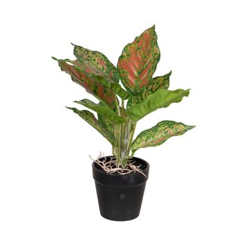 Fake Pflanze Dieffenbachia SILNANA, Wurzeln, Dekotopf, grün-rot, 24cm Fake Pflanze Dieffenbachia SILNANA, Wurzeln, Dekotopf, grün-rot, 24cm