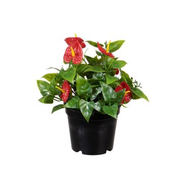 Künstliche Blume Flamingoblume TALESSA im Dekotopf, rot, 15cm