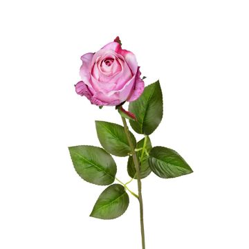 Künstliche Blume Rose TALIAHNA, lila, 65cm Künstliche Blume Rose TALIAHNA, lila, 65cm