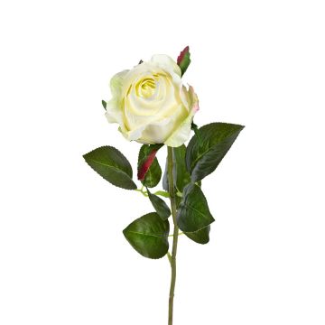 Künstliche Blume Rose TALIAHNA, weiß, 65cm Künstliche Blume Rose TALIAHNA, weiß, 65cm