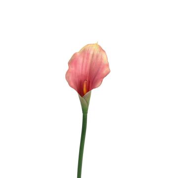Künstliche Blume Calla THISBEL, dunkelrosa, 55cm Künstliche Blume Calla THISBEL, dunkelrosa, 55cm