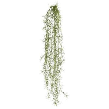 Künstliche Sukkulente Tillandsia usneoides BLIMFY, Steckstab, hängend, dunkelgrün, 80cm
