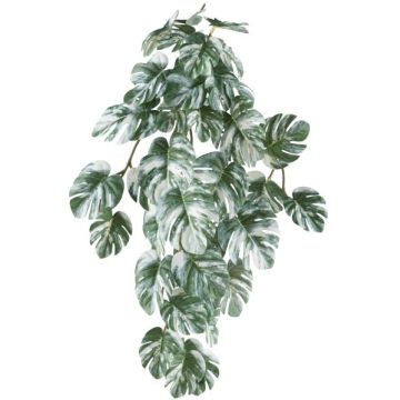 Dekohänger Philodendron monstera deliciosa variegata TRANE, Steckstab, grün-weiß, 50cm