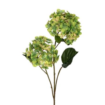 Dekozweig Hortensie TIRENNA, grün, 80cm