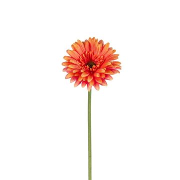 Künstliche Blume Gerbera TYLORA, koralle, 60cm