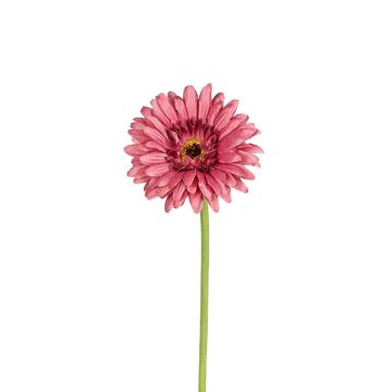 Künstliche Blume Gerbera TYLORA, altrosa, 60cm Künstliche Blume Gerbera TYLORA, altrosa, 60cm