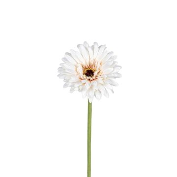 Künstliche Blume Gerbera TYLORA, weiß-beige, 60cm