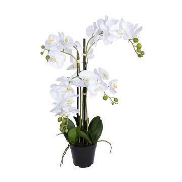Kunst Phalaenopsis Orchidee WALLINA, Wurzeln, weiß, 90cm