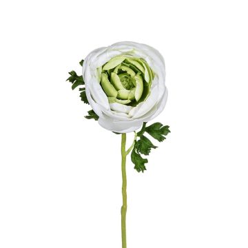 Künstliche Ranunkel WELDIAN, weiß-grün, 60cm
