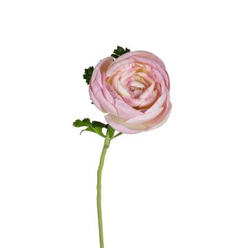 Künstliche Ranunkel WELDIAN, rosa, 60cm Künstliche Ranunkel WELDIAN, rosa, 60cm