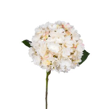 Dekoblume Hortensie YELLINA, creme, 60cm