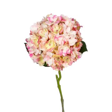 Dekoblume Hortensie YELLINA, rosa-creme, 60cm Dekoblume Hortensie YELLINA, rosa-creme, 60cm
