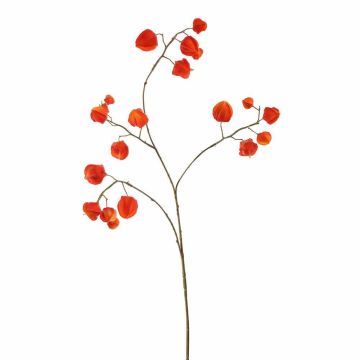 Deko Zweig Physalis BEATINA, Früchte, orange, 90cm Deko Zweig Physalis BEATINA, Früchte, orange, 90cm