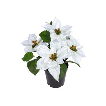 Künstliche Blume Weihnachtsstern ZALASSENA, weiß, 35cm