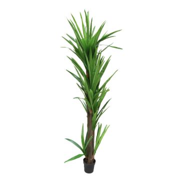 Kunst Palme Yucca elephantipes MIBBEA, Dekotopf, grün, 220cm Kunst Palme Yucca elephantipes MIBBEA, Dekotopf, grün, 220cm