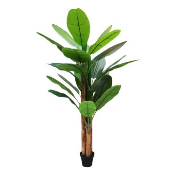Kunst Palme Banane HANNABEL im Dekotopf, 250cm