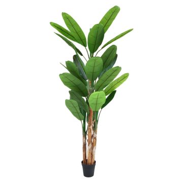 Kunst Palme Banane HANNABEL im Dekotopf, 30cm