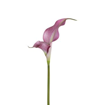 Künstliche Blume Calla ZEFYRA, rosa, 75cm Künstliche Blume Calla ZEFYRA, rosa, 75cm