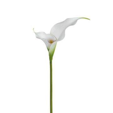 Künstliche Blume Calla ZEFYRA, weiß, 75cm Künstliche Blume Calla ZEFYRA, weiß, 75cm