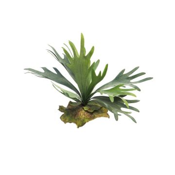 Künstliche Pflanze Geweihfarn MIAOLI, Steckstab, grün, 27cm