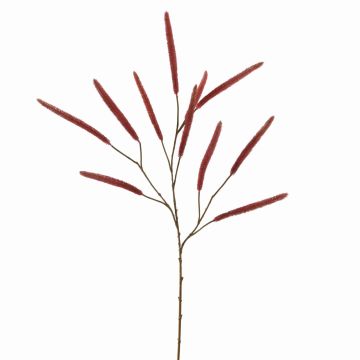 Deko Zweig Lampenputzergras ABRYSIA mit Rispen, rot, 105cm Deko Zweig Lampenputzergras ABRYSIA mit Rispen, rot, 105cm