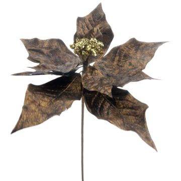 Künstliche Blume Weihnachtsstern EMULIA, braun-gold, 65cm Künstliche Blume Weihnachtsstern EMULIA, braun-gold, 65cm