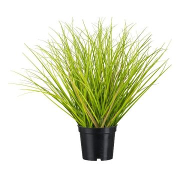 Fake Gras Lampenputzergras BENKU, grün-braun, 30cm