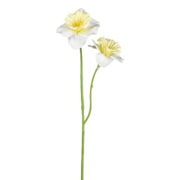 Kunstblume Narzisse FULKO, weiß-hellgelb, 55cm, Ø9,5cm Kunstblume Narzisse FULKO, weiß-hellgelb, 55cm, Ø9,5cm