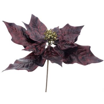 Künstliche Blume Weihnachtsstern EMULIA, burgunderrot-gold, 65cm Künstliche Blume Weihnachtsstern EMULIA, burgunderrot-gold, 65cm