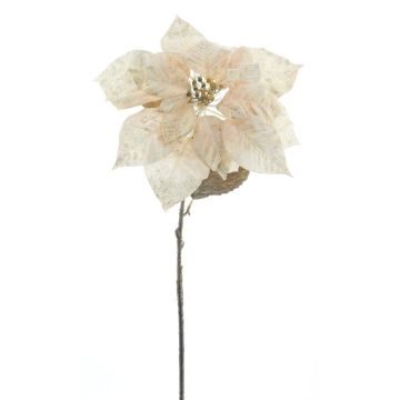 Künstliche Blume Weihnachtsstern OLINIA, creme, 75cm