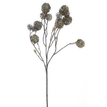Deko Zweig Kugeldistel CAIRONA, braun, 75cm