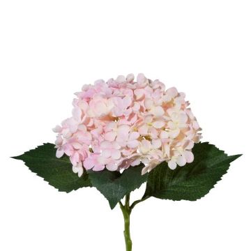 Künstliche Blume Hortensie ZURTO, hellrosa, 55cm Künstliche Blume Hortensie ZURTO, hellrosa, 55cm